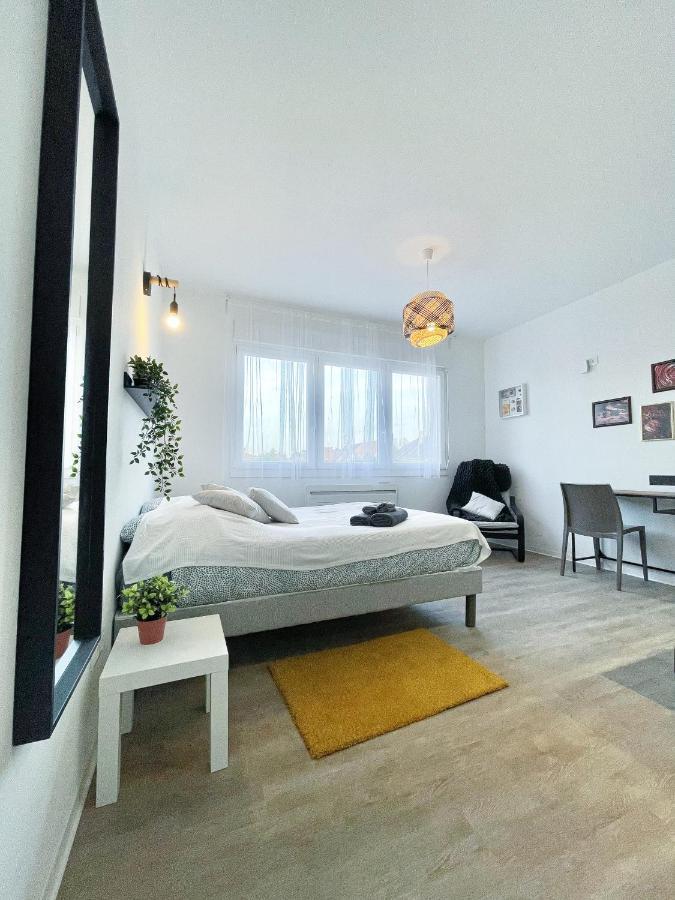 LE PARADIS FISCAL, 5min Bâle, parking privé Saint-Louis  Exterior foto